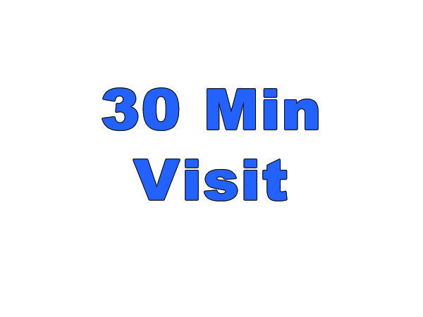 Lucky Dogs Pet Sitting Call or Text 954.678.7456 today.