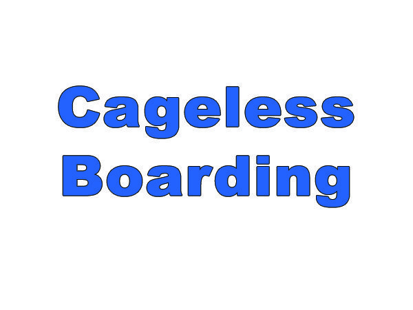 Lucky Dogs Pet Sitting Call or Text 954.678.7456 today.