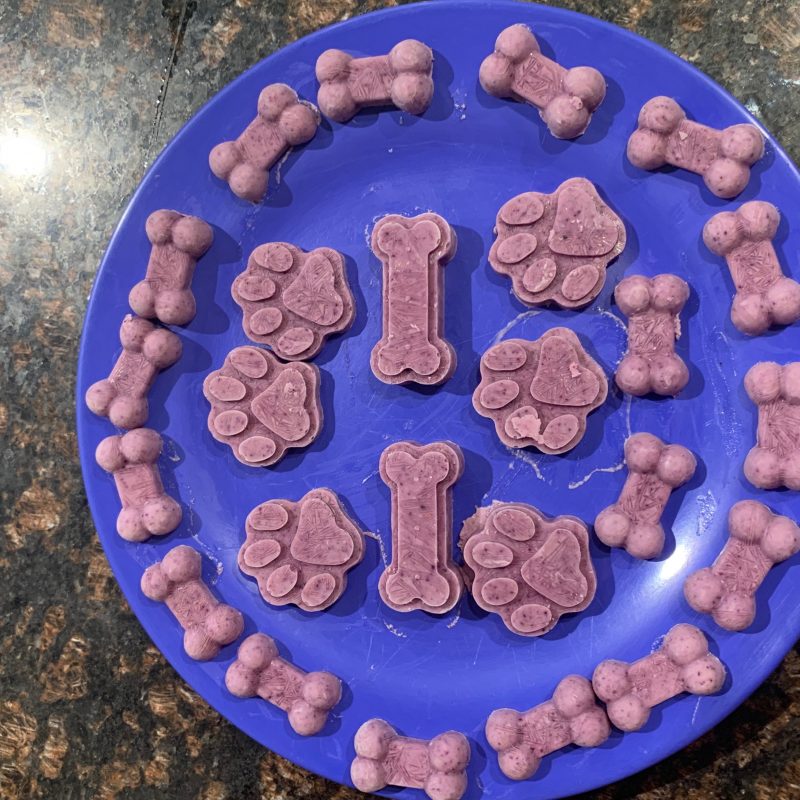 Now Serving Frozen Pup Treats!